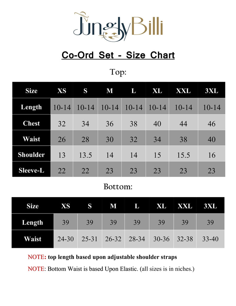 Women Georgette Co Ord Set