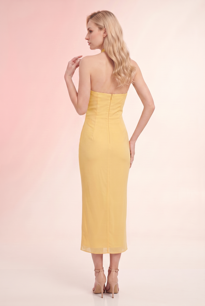 Chiffon Halter Neck Long Dress