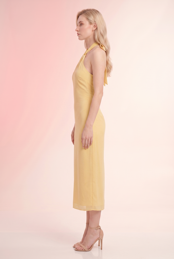 Chiffon Halter Neck Long Dress