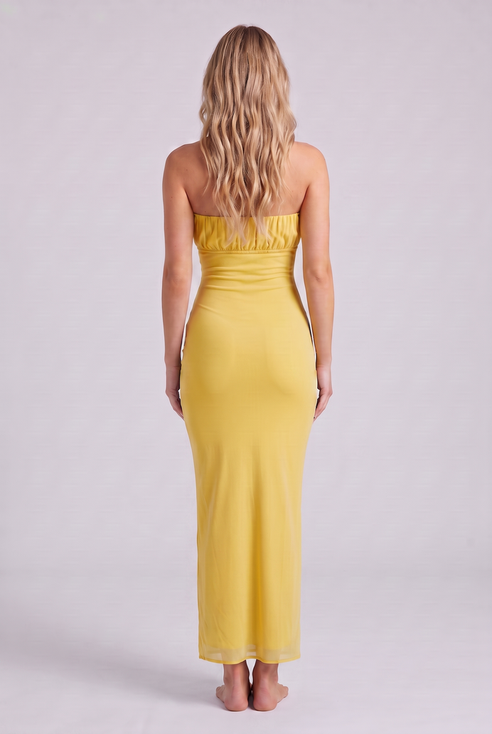 Chiffon Tube Bodycon Long Dress