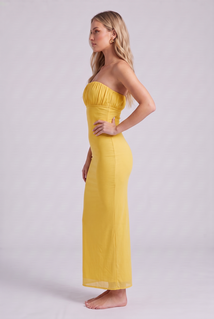 Chiffon Tube Bodycon Long Dress
