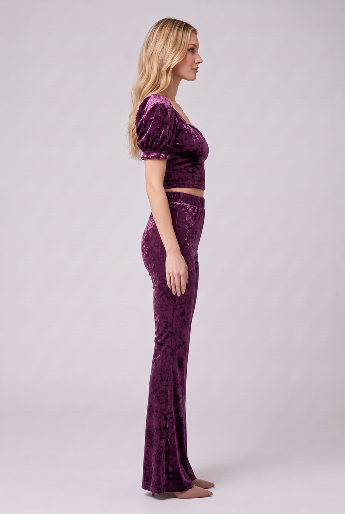Korean Velvet Crop Top & Bell Bottom Pant Set